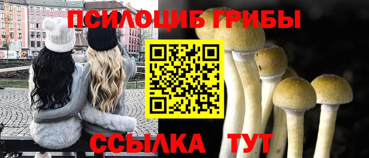 Галлюциногенные грибы Cubensis Заринск