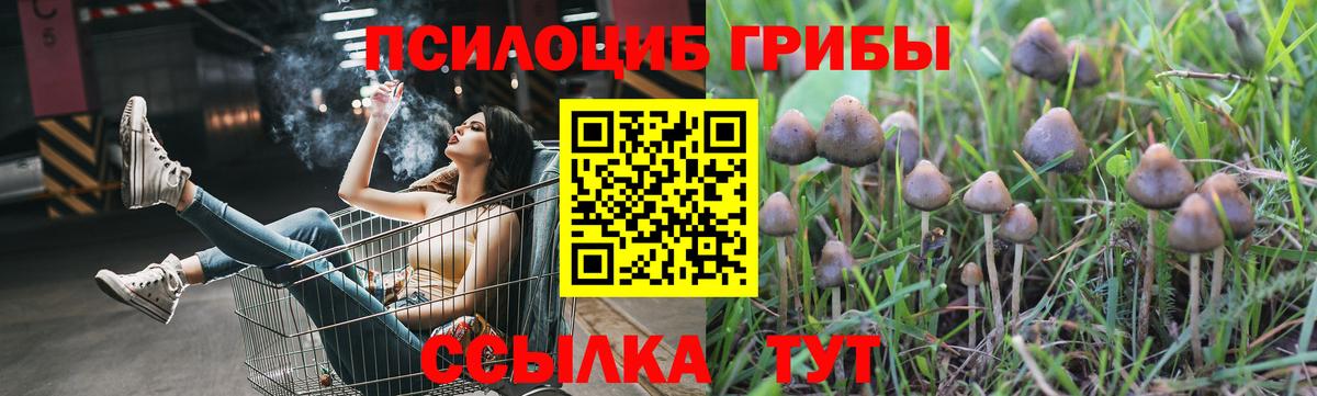 Галлюциногенные грибы мухоморы  Вход с VPN  Заринск 