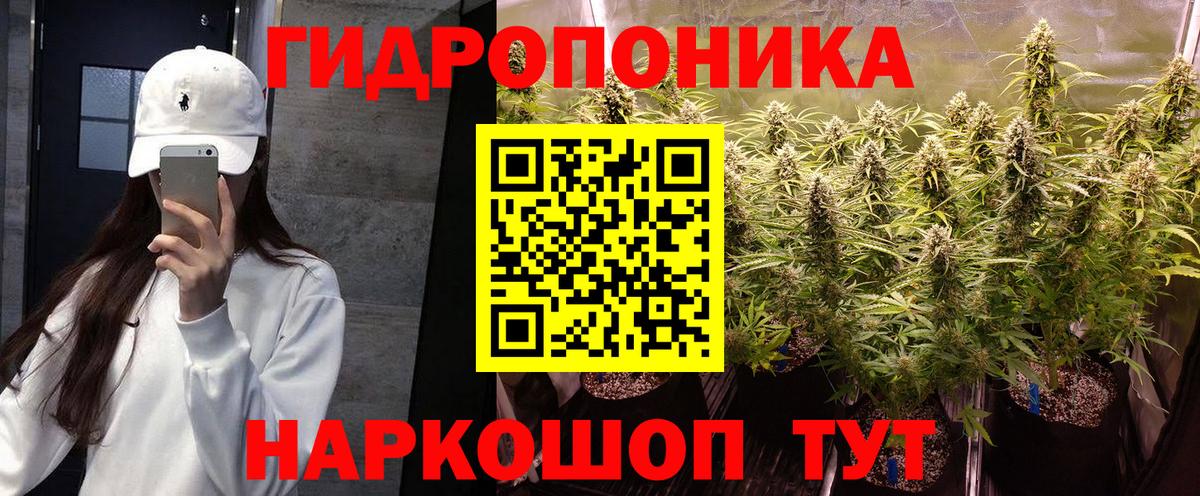 Заринск  Бошки марихуана AK-47  Вход с VPN  Шишки марихуана Ganja  Бошки марихуана планчик 